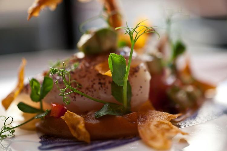 Fiskfelagid - Fish Company