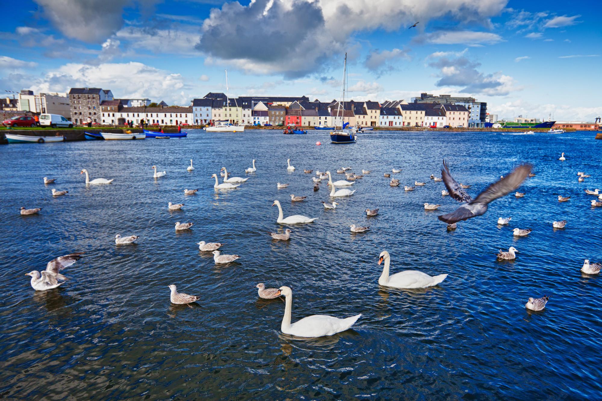 Top Attractions in Galway