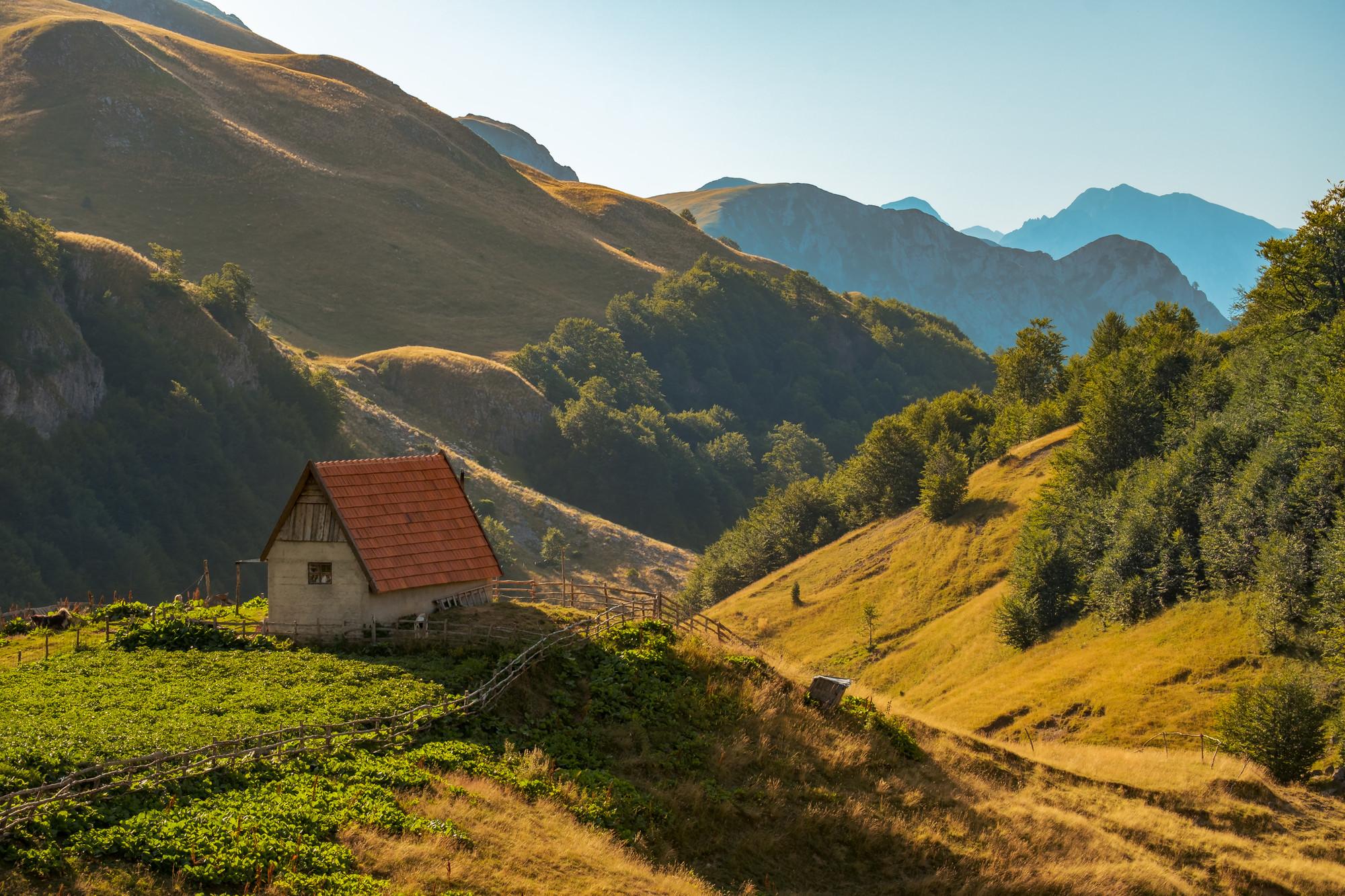Zelengora Mountain