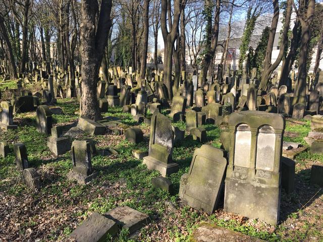 New Jewish Cemetery