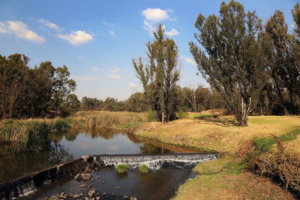 Modderfontein Reserve