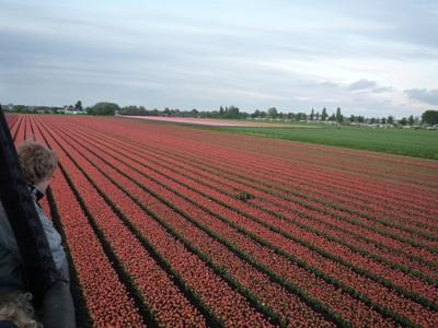 Rob Wiegers Ballonvaart BV
