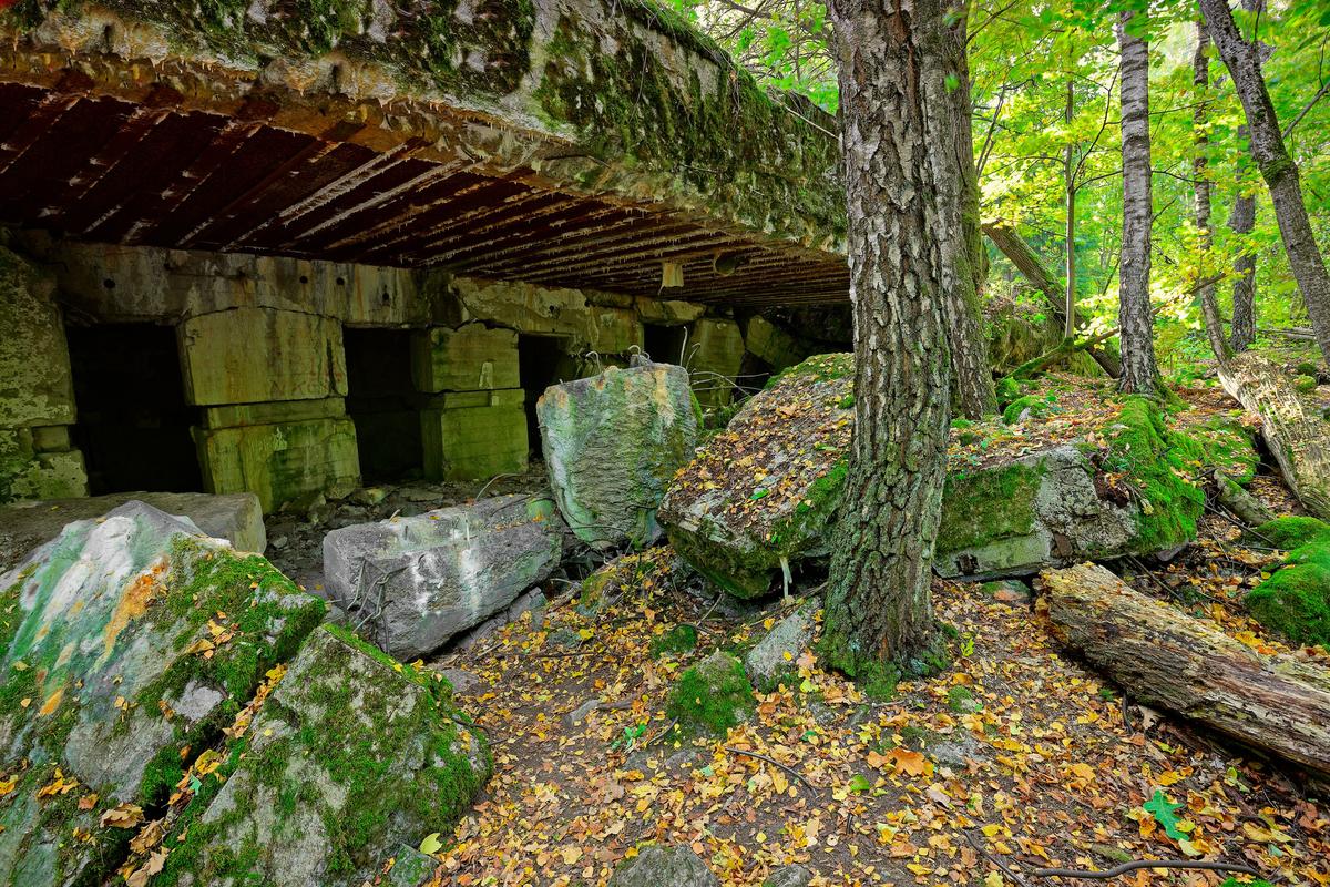 Gallery image