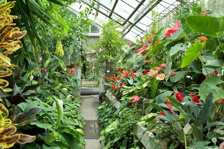 Botanical Garden