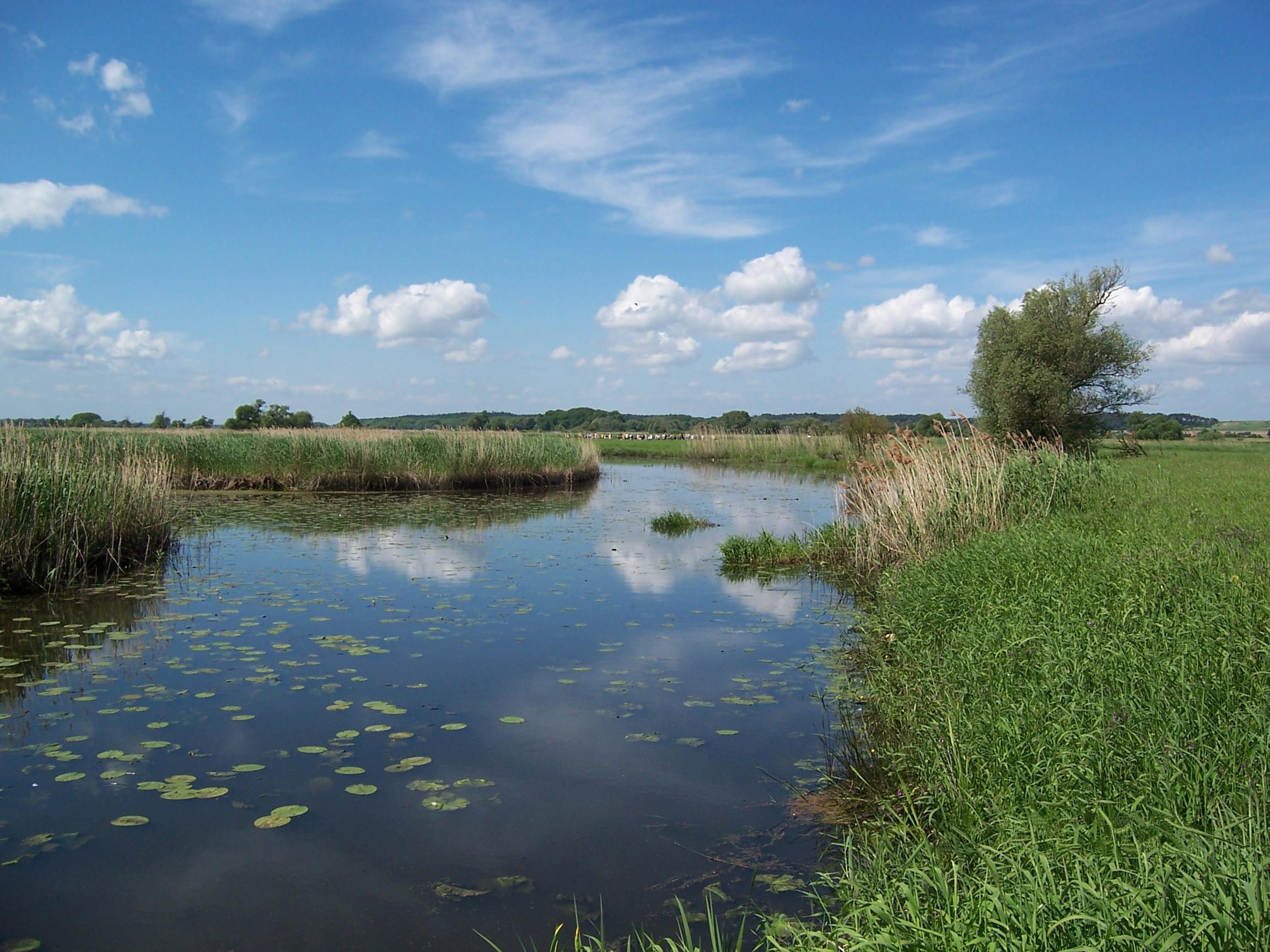 Lower Odra Valley Landscape Park
