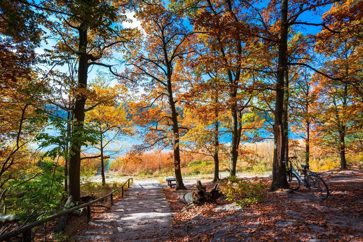 Greater Poland National Park