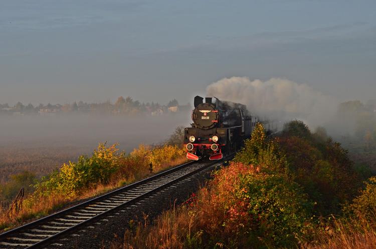 Wolsztyn Steam Train Depot