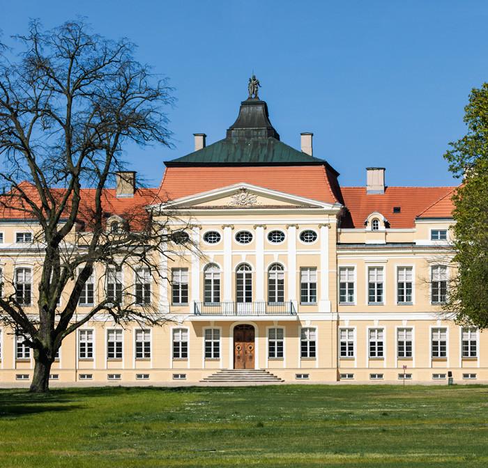 Raczyński Palace in Rogalin