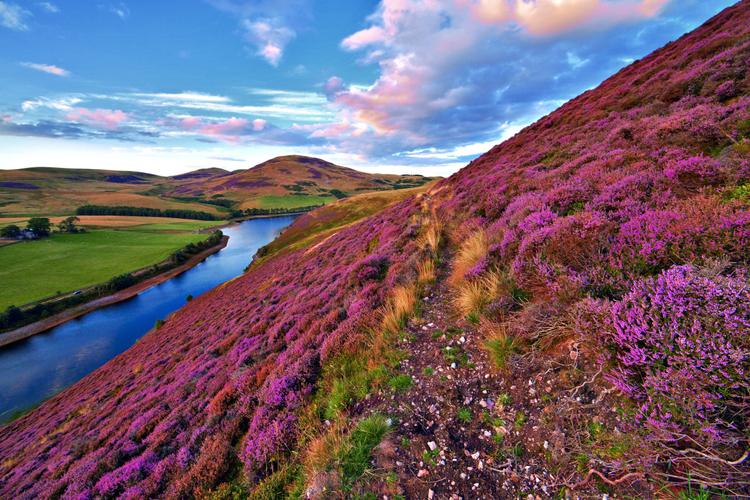 Pentland Hills