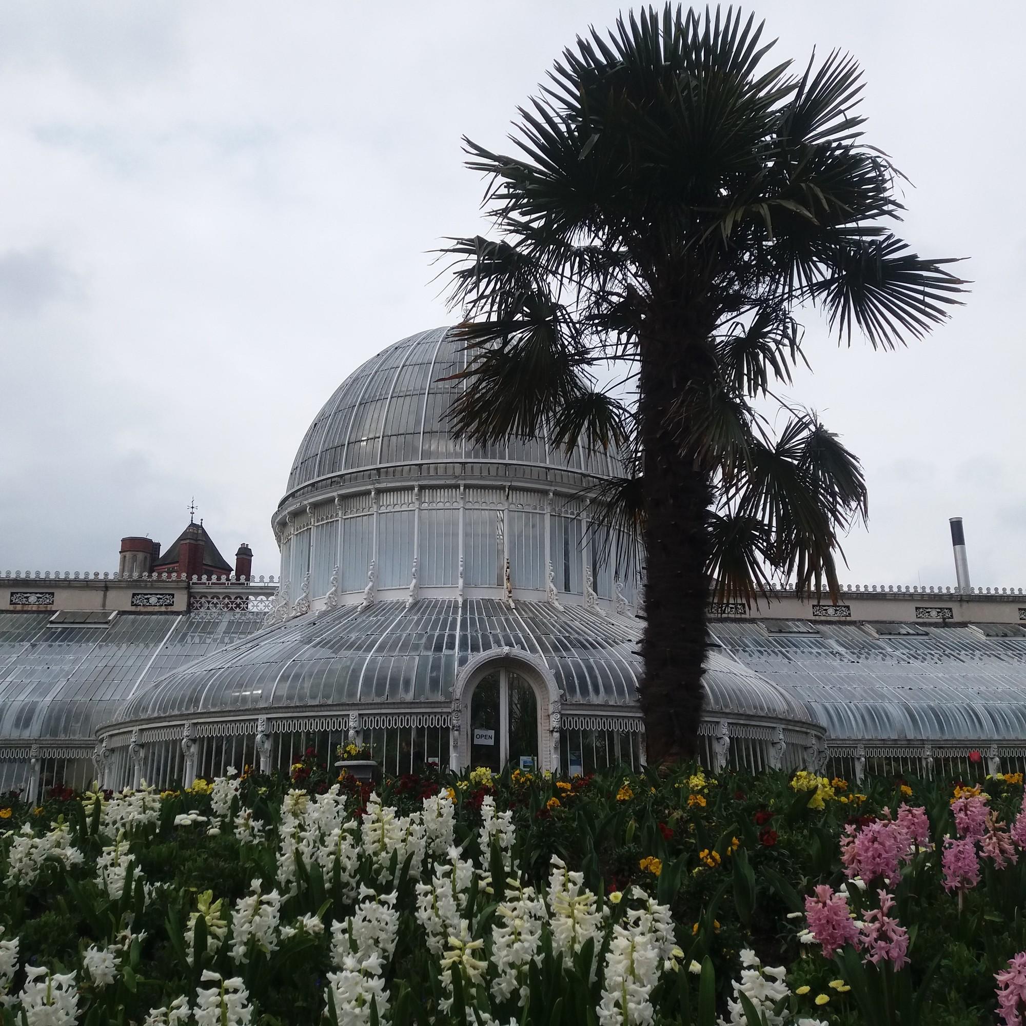 The Man Who Built Belfast