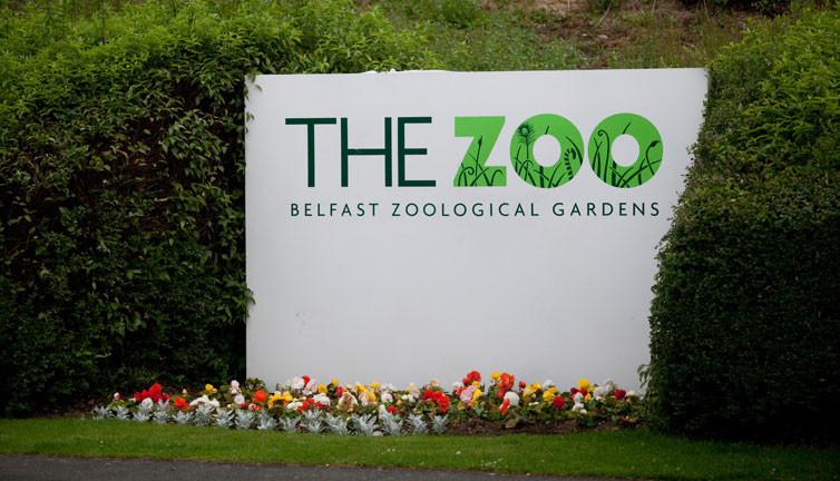 Belfast Zoo