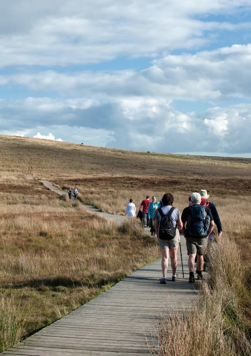 Divis & Black Mountain