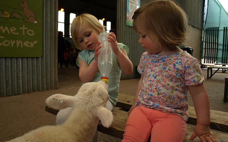 Streamvale Open Farm