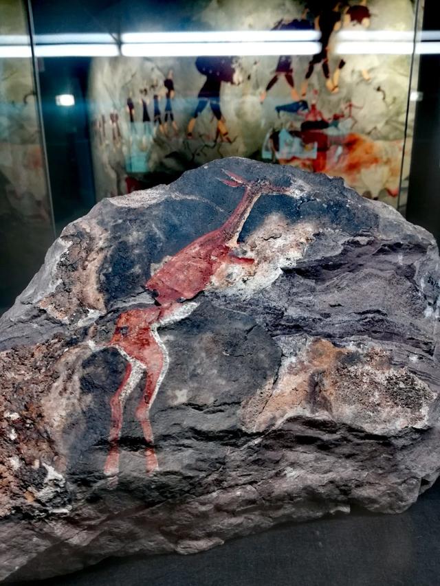 Origins Centre
