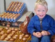 Landwinkel De Overscharen