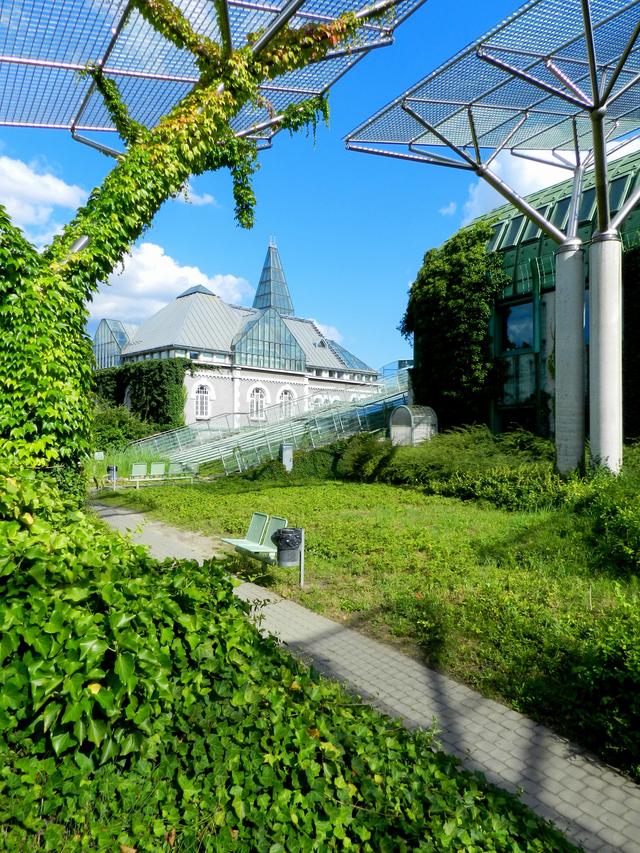 Warsaw University Library Rooftop Gardens