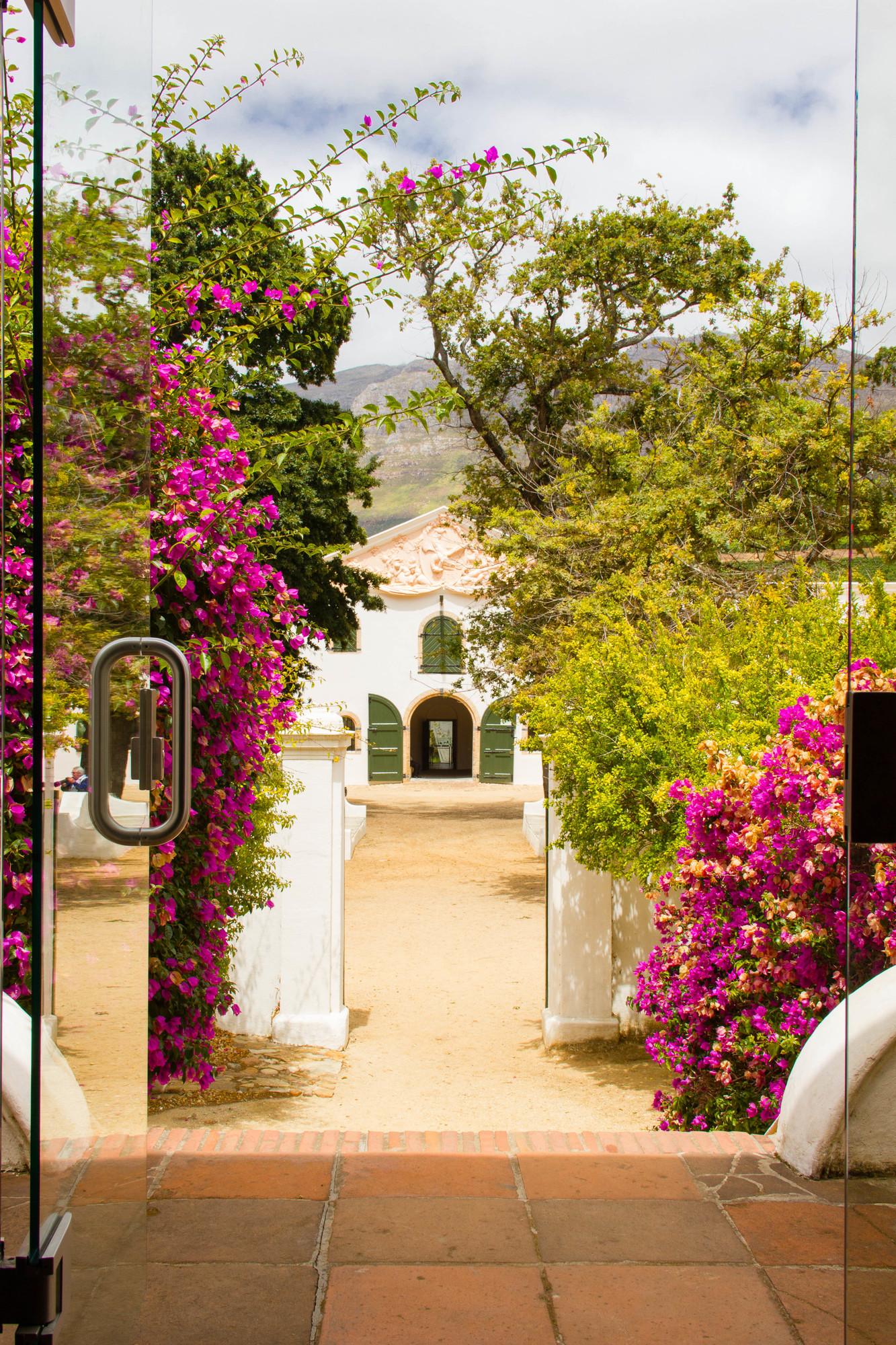 Groot Constantia