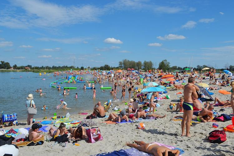 Przystań Brzegi