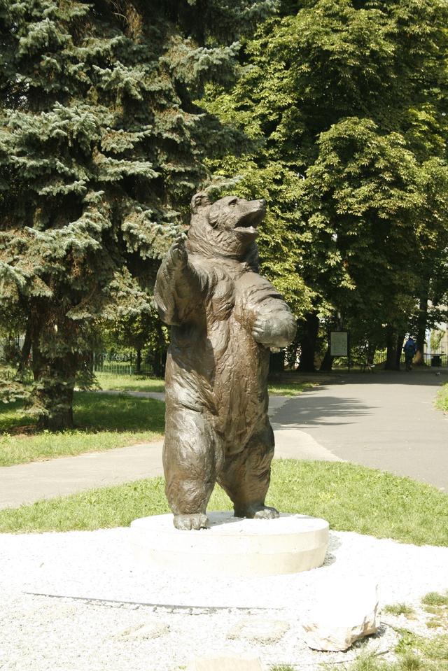 Wojtek the Bear