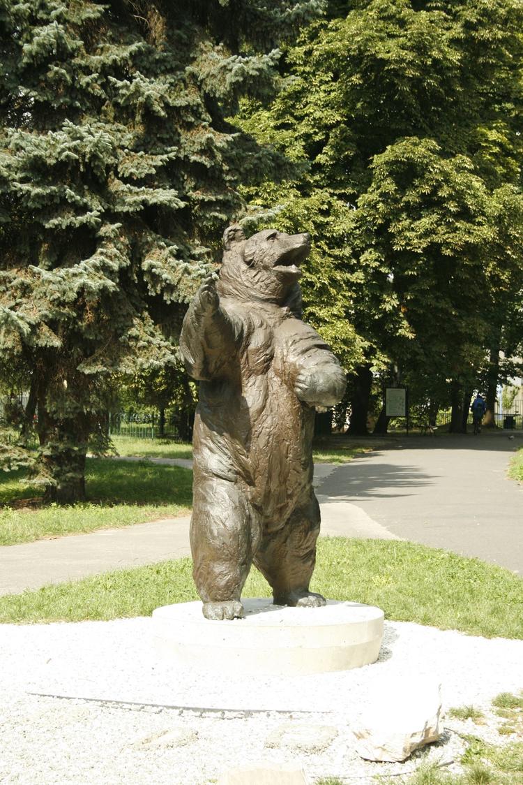 Wojtek the Bear