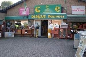 Discus Wammes