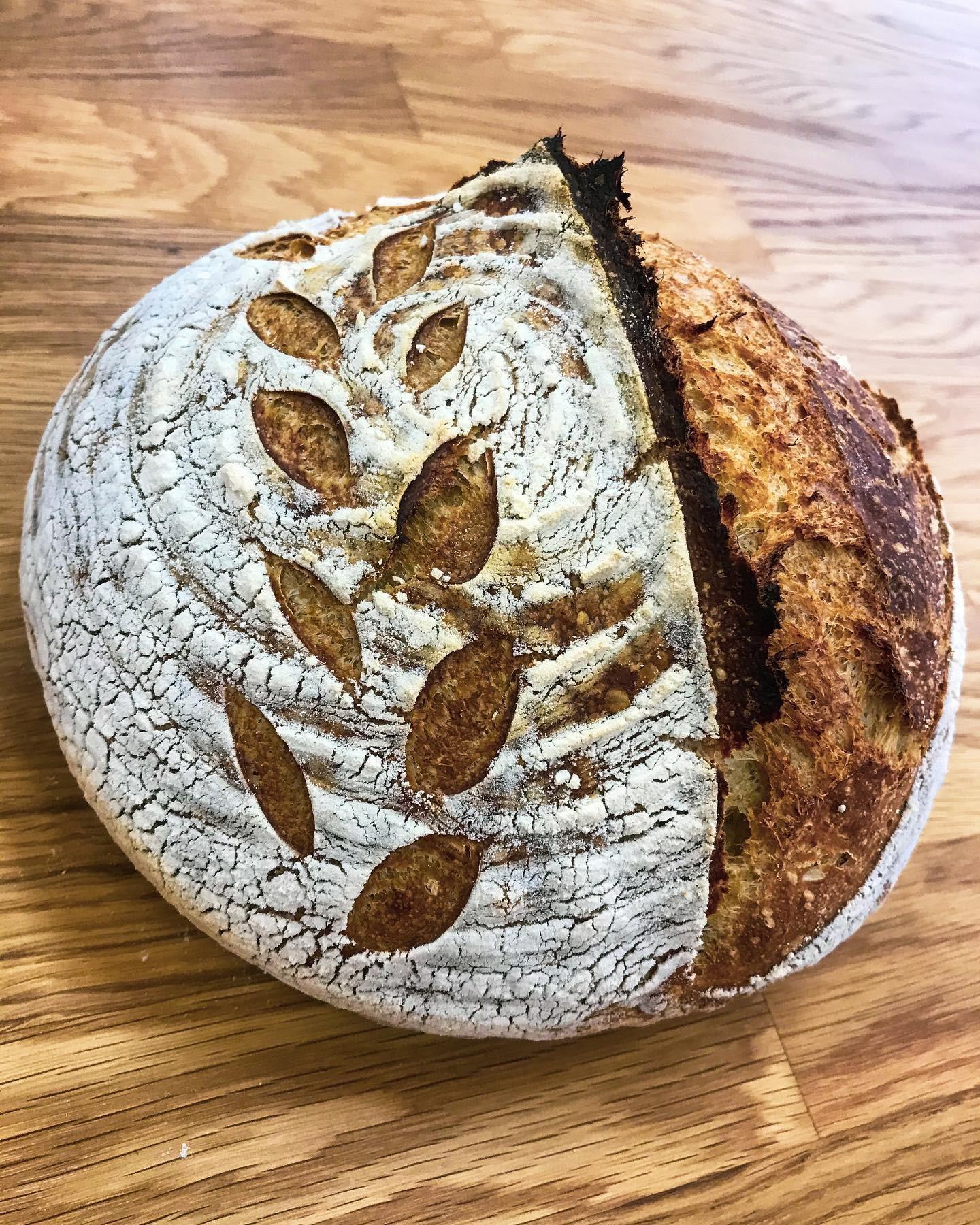 Pistoria bakery