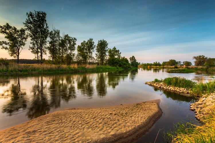 Warta Landscape Park