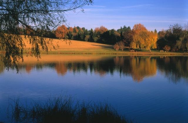 Johannesburg Botanical Gardens and Emmarentia Dam