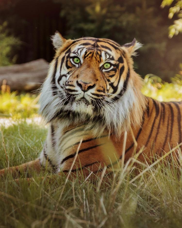 ZOO Wrocław & Afrykarium