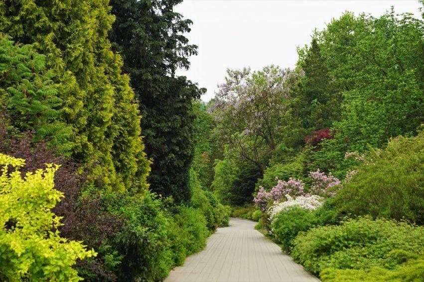 UMCS Botanical Garden