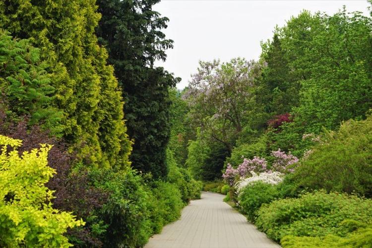 UMCS Botanical Garden