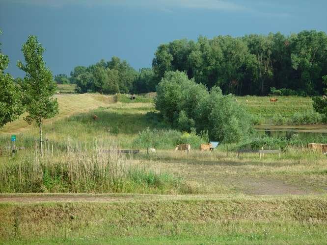 Heerewaardense Polder