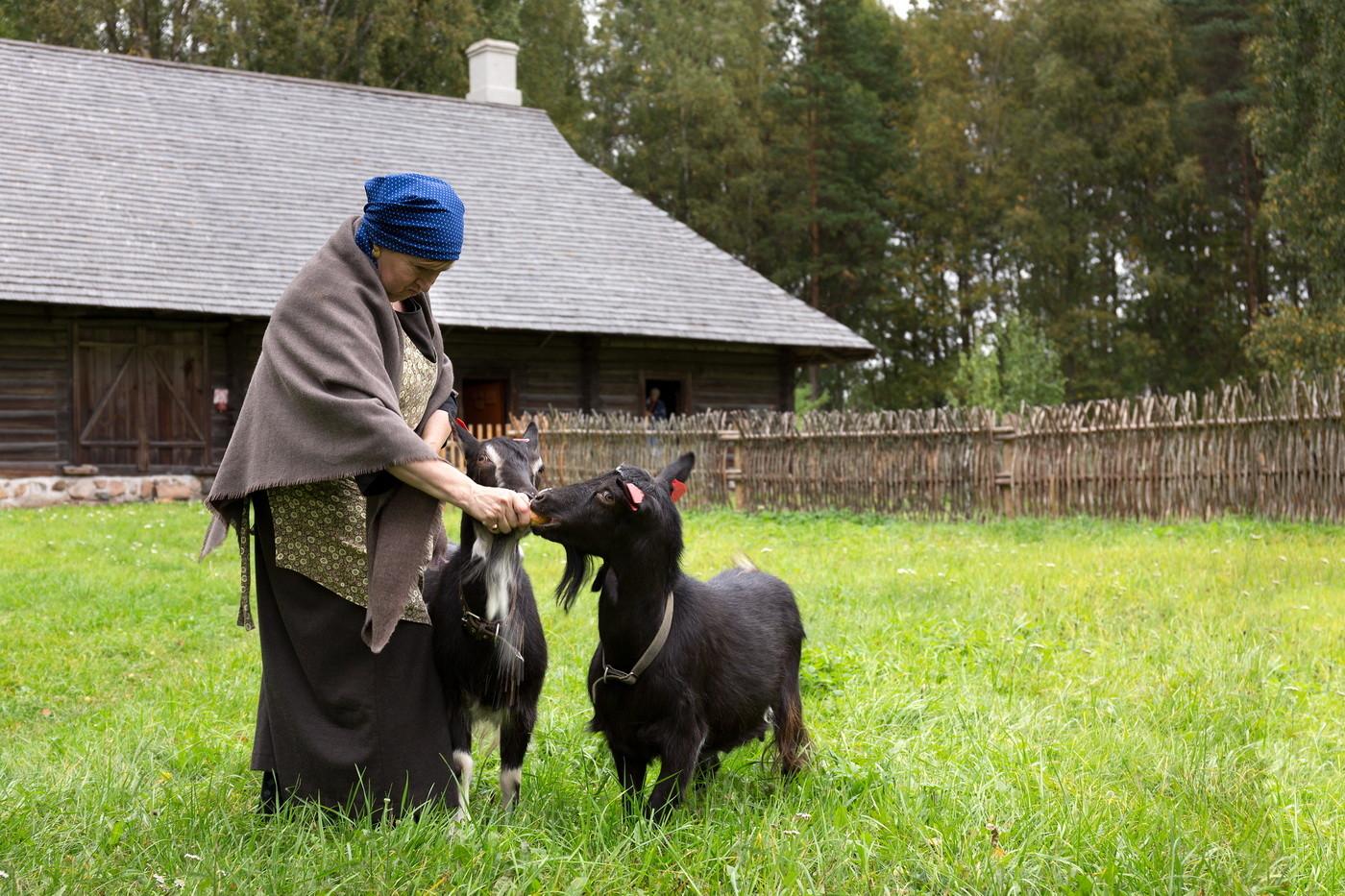 Estonian Open Air Museum