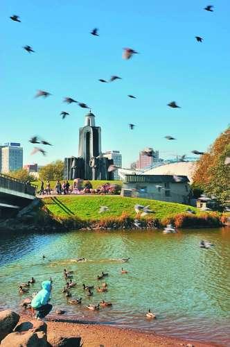 Остров слёз