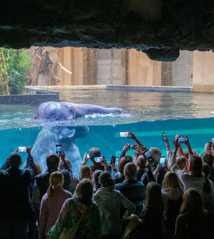 ORIENTARIUM ZOO ŁÓDŹ