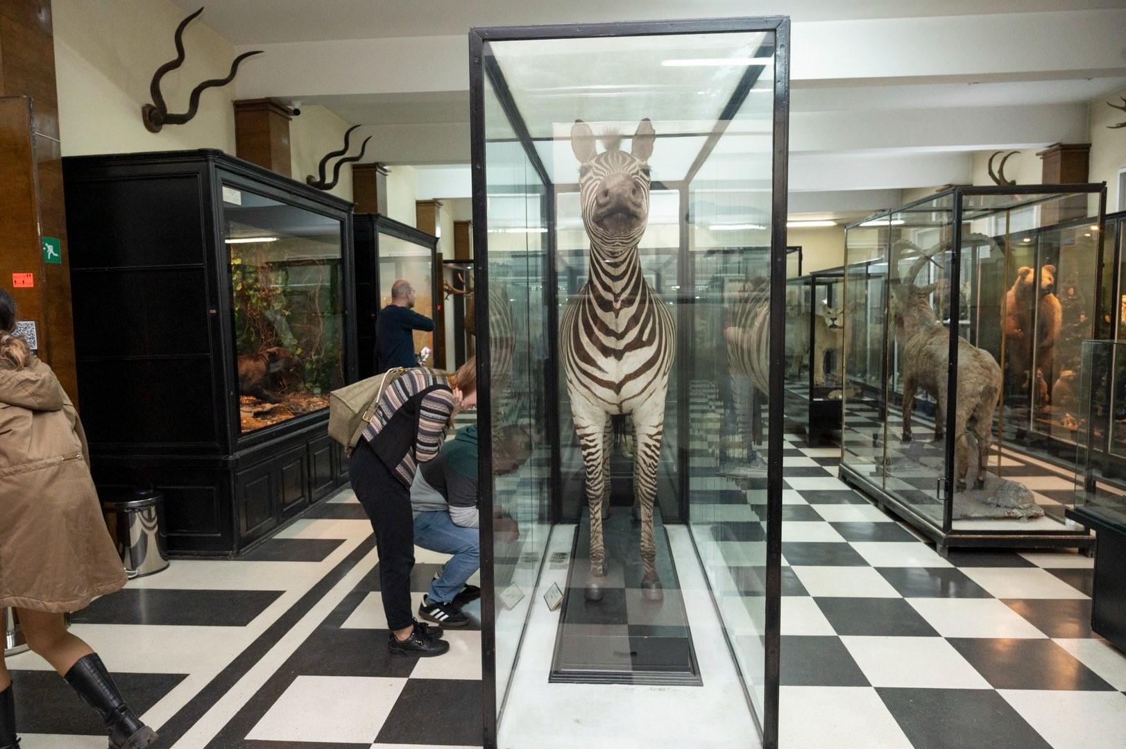 National Museum of Natural History