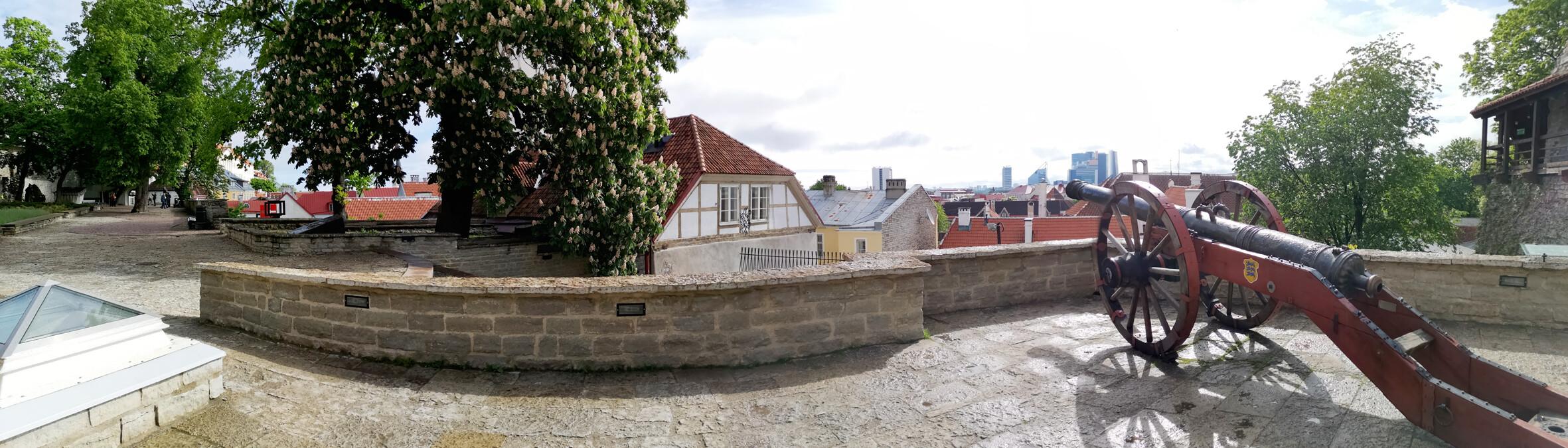 Danish King's Garden