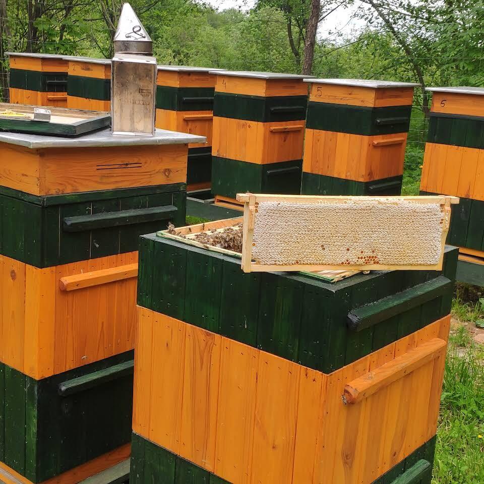 Bieszczadzka Polana Apiary