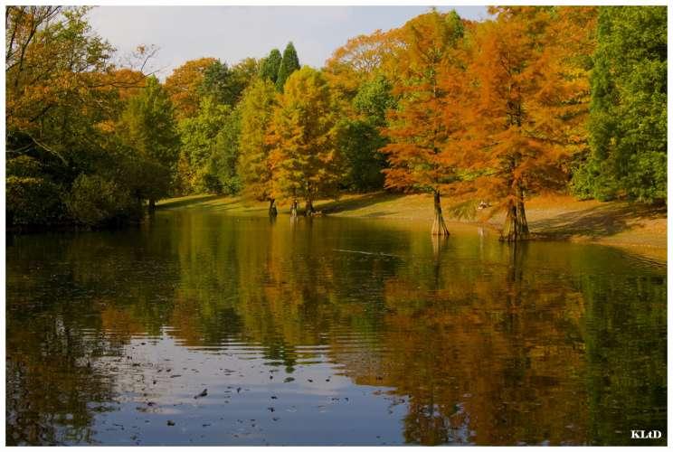 Wandelbos