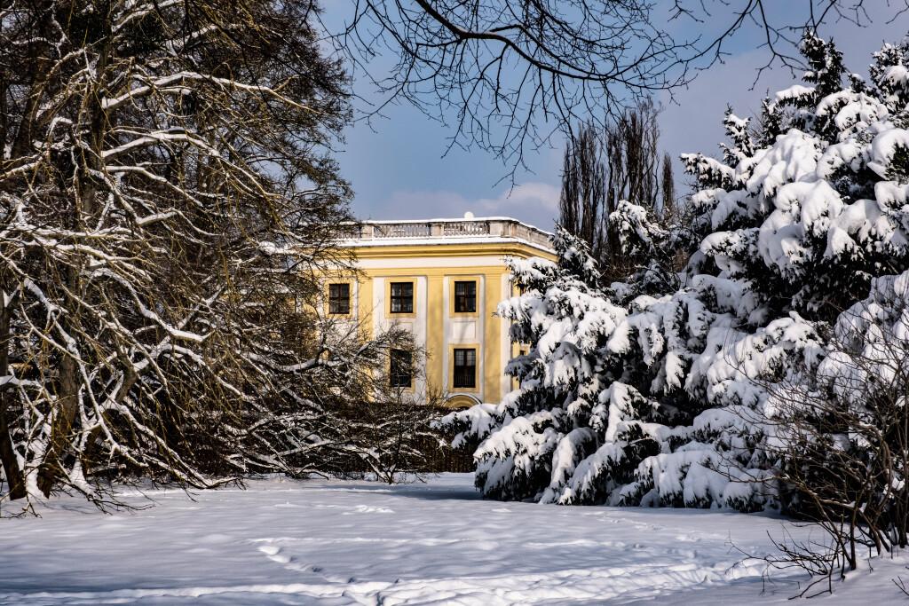 What to do in Kassel during the winter