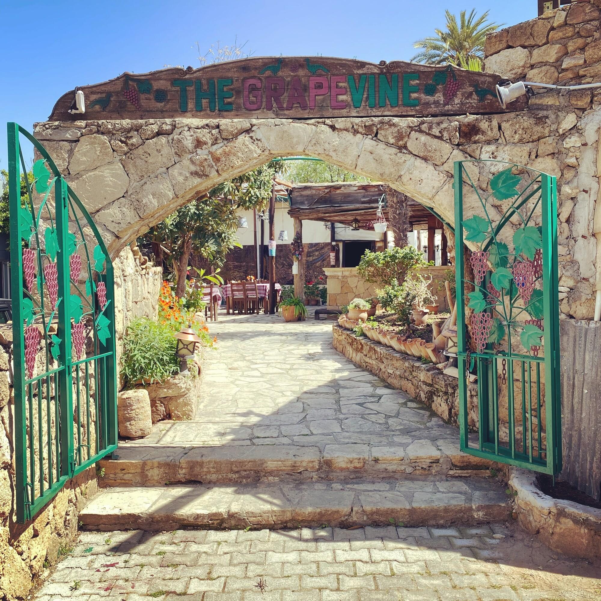 The Old Grapevine