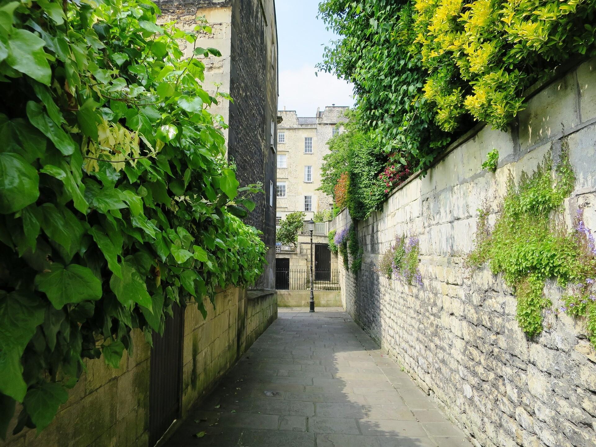Blooming Marvels: Your Spring Escape in England's Gem, Bath