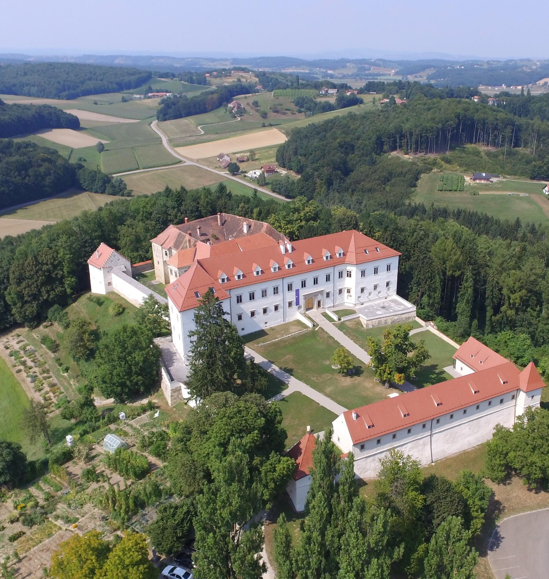 Grad Negova