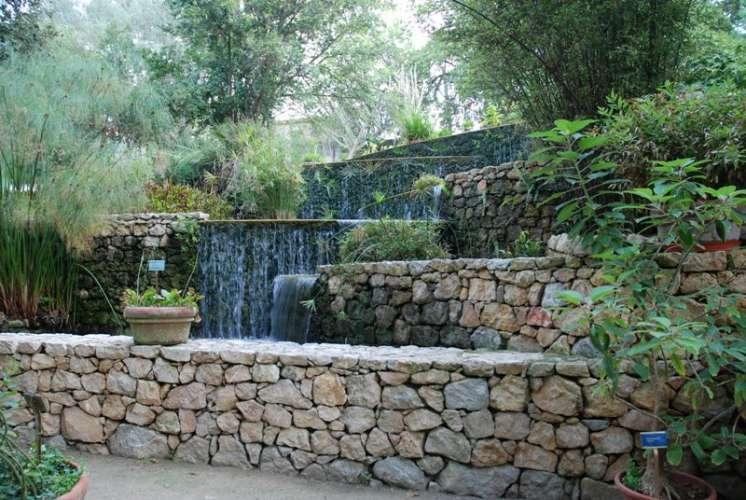 Botanical Garden (Orto Botanico)