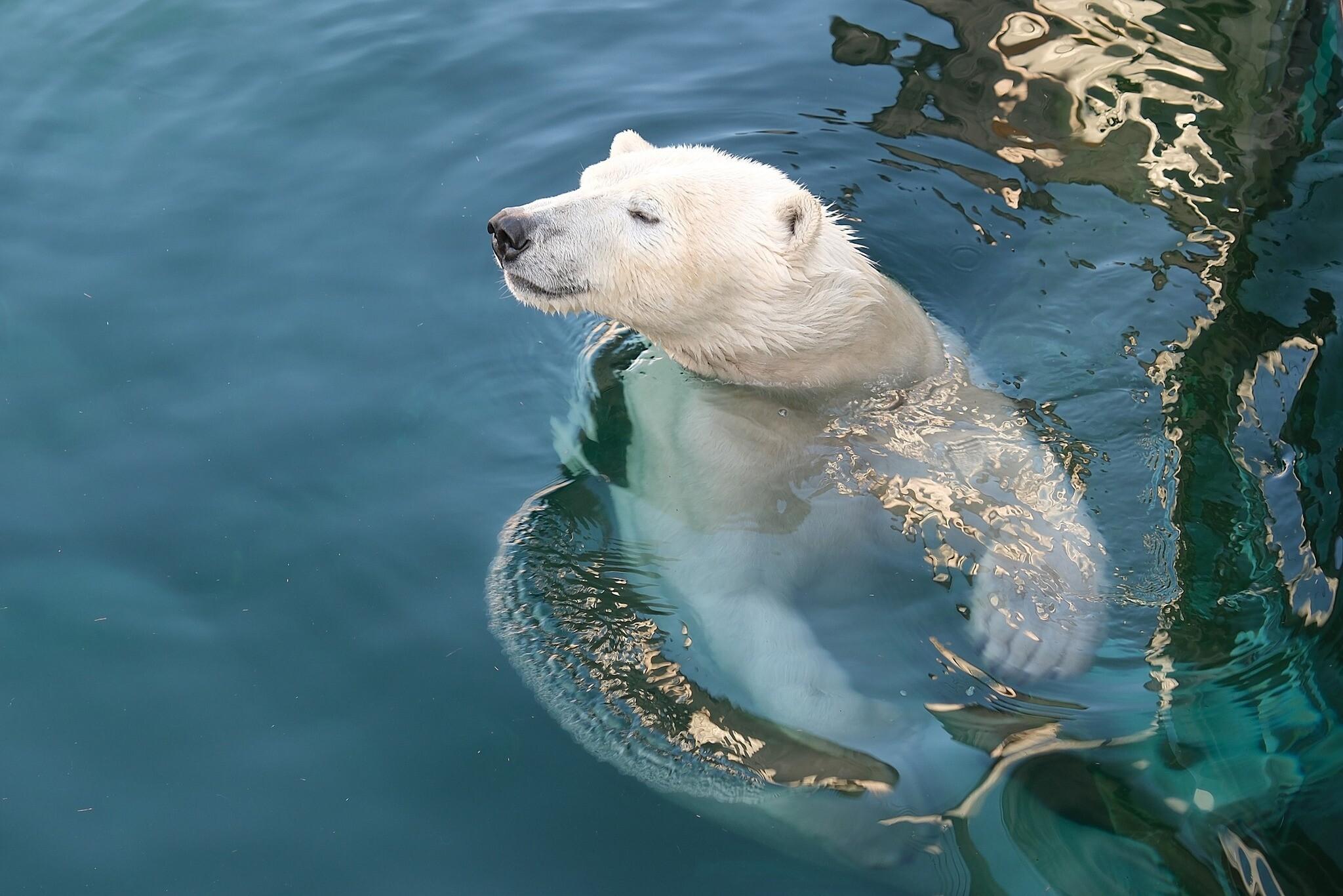 Tallinn Zoo