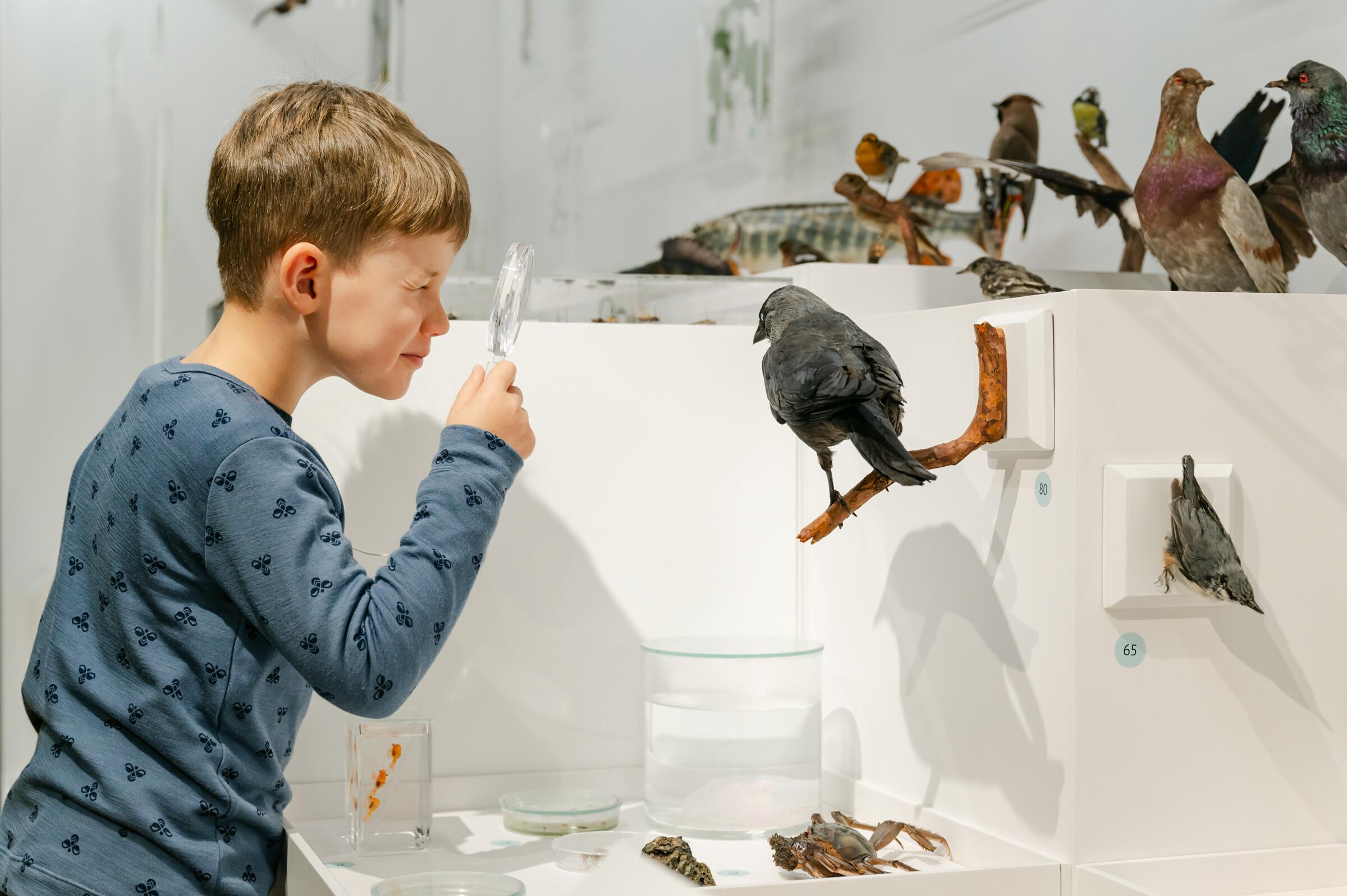 Estonian Museum of Natural History