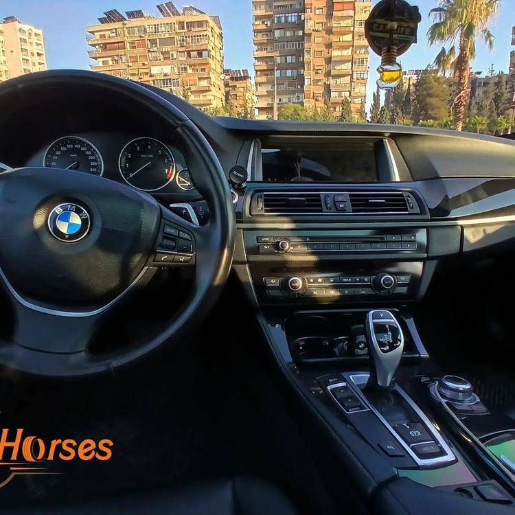 Horses car rental
