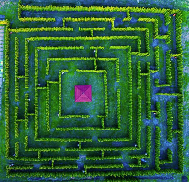 Owińska Green Labyrinth