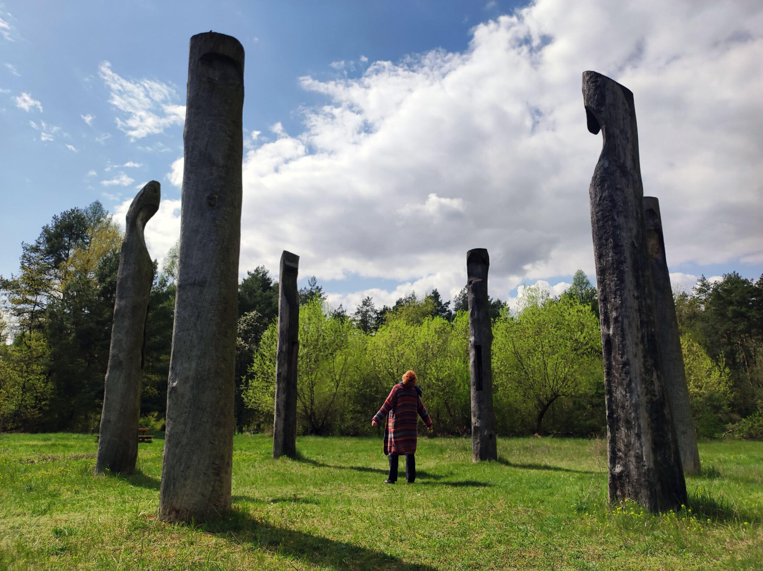 Forest Arboretum