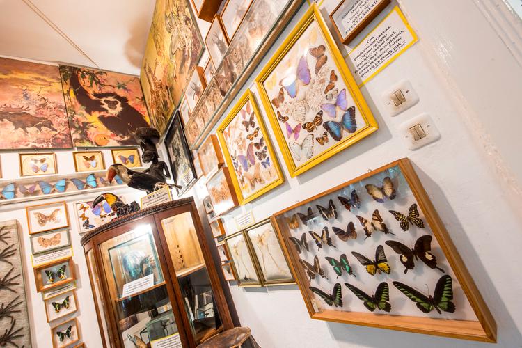 Literary Museum of Arkady Fiedler